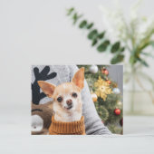 チワホアドッグクリスマスw/クリスマスツリーポストカード ポストカード (スタンド正面)