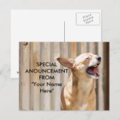 チワホアハガキ ポストカード (正面/裏面)