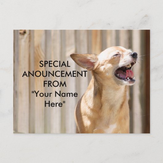 チワホアハガキ ポストカード (正面)