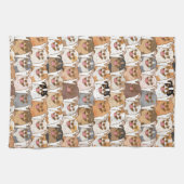 チワホアパタン キッチンタオル (横)