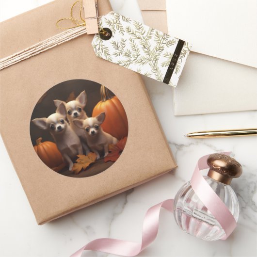 チワホアパピーオータムデライトカボチャ ラウンドシール (ギフト)