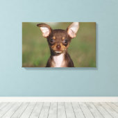 チワホアパピーカメラを見て キャンバスプリント (インサイチュ (ウッドフロア))