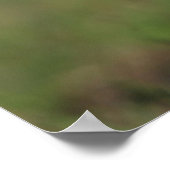 チワホアパピーカメラを見て ポスター (角)