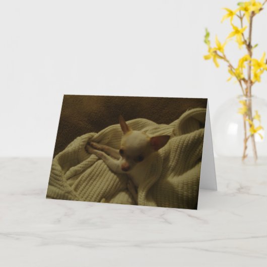 チワホアパピーグリーティングカード カード (黄色い花)