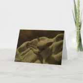 チワホアパピーグリーティングカード カード (正面)