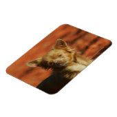 チワホアパピーヘッドショット マグネット (左側)