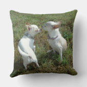 チワホアパピーラブ装飾用クッション クッション (裏面)