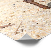 チワホアパピー歩く ポスター (角)