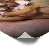 チワホアパピー賛美ズ ポスター (角)