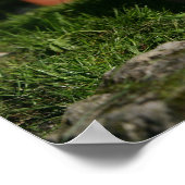 チワホアパピー遊ズ ポスター (角)