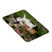 チワホアパピー遊ズ マグネット (右側)