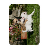 チワホアパピー遊ズ マグネット (縦)