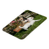 チワホアパピー遊ズ マグネット (左側)