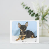 チワホアパピー9W079D-027 ポストカード (スタンド正面)