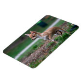 チワホアパピー マグネット (左側)