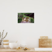 チワホアパープルポスター ポスター (キッチン)