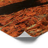 チワホアビューアアットカメラ ポスター (角)