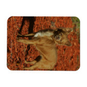 チワホアビューアアットカメラ マグネット (横)