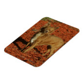 チワホアビューアアットカメラ マグネット (左側)