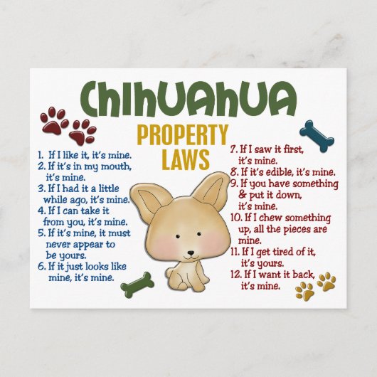 チワホアプロパティ法4 ポストカード (正面)
