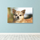 チワホアヘッドショット キャンバスプリント (インサイチュ (ウッドフロア))