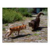 チワホアミーツキャット (正面横)