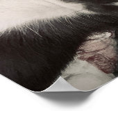 チワホア微笑みプリント ポスター (角)