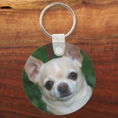 チワホワ キーホルダー (正面)
