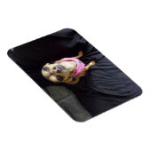 チワワあなたを見てNo 2フレキシブルマグネット マグネット (右側)