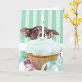 チワワお誕生日ケーキ カード (黄色い花)