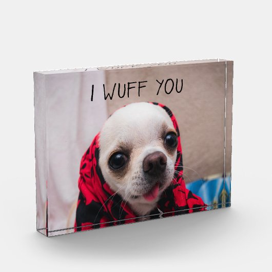 チワワかわいい私はあなたがバレンタインを愛することを願う フォトブロック (左)