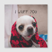 チワワかわいい私はあなたがバレンティーンカードを愛することを願う (正面)