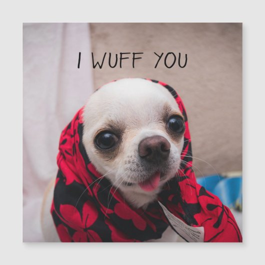 チワワかわいい私はあなたがバレンティーンカードを愛することを願う (正面)