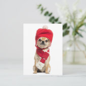 チワワがクリスマスハットとスカーフを身に着けて シーズンポストカード (スタンド正面)