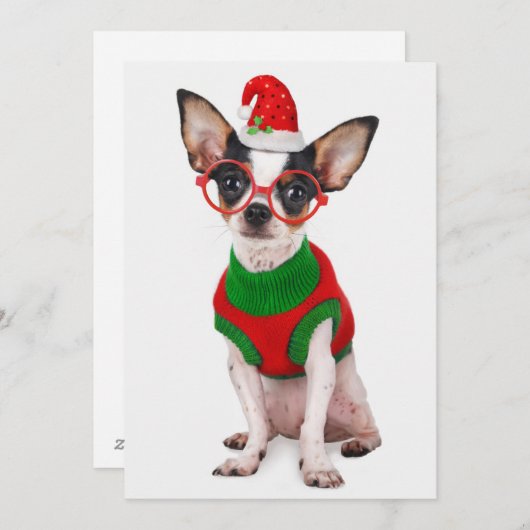 チワワとサンタハットとグラス シーズンカード (正面/裏面)