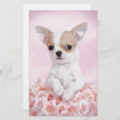 チワワとピンクとバラ 便箋 (正面/裏面)