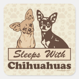 チワワと眠る スクエアシール