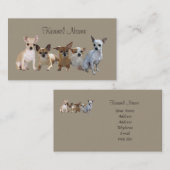 チワワのグループの名刺 名刺 (正面/裏面)