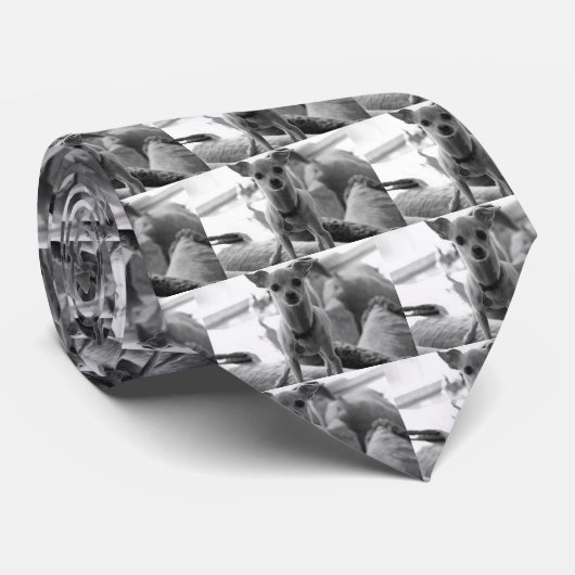 チワワのタイ ネクタイ (ロール)