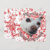 チワワのバレンタインデー フラット ホリデー カード (正面/裏面)