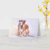 チワワのバースデー・カード カード (黄色い花)