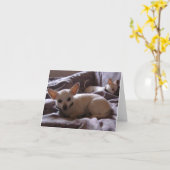 チワワのメッセージカードを目覚めて下さい カード (黄色い花)