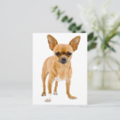 チワワの仔犬 ポストカード (スタンド正面)