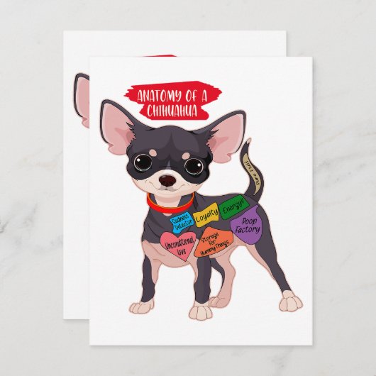 チワワの可愛い子犬のギフト解剖学 サンキューカード (正面/裏面)