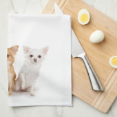 チワワの台所タオル キッチンタオル (四つ折り)