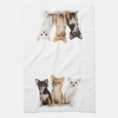 チワワの台所タオル キッチンタオル (縦)