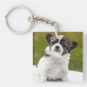 チワワの子犬のかわいい写真 キーホルダー (正面)