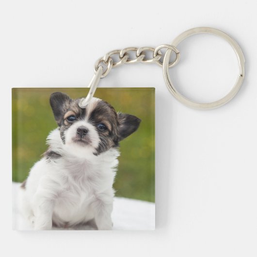 チワワの子犬のかわいい写真 キーホルダー (裏面)