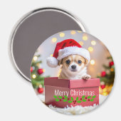 チワワの子犬のクリスマス マグネット (正面/裏面)