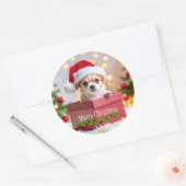 チワワの子犬のクリスマス ラウンドシール (封筒)